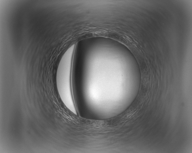 X0000079321345200611170920