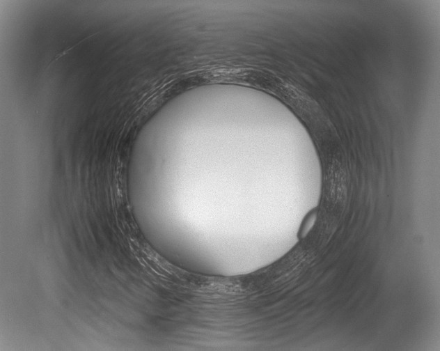 X0000079321346200611170920