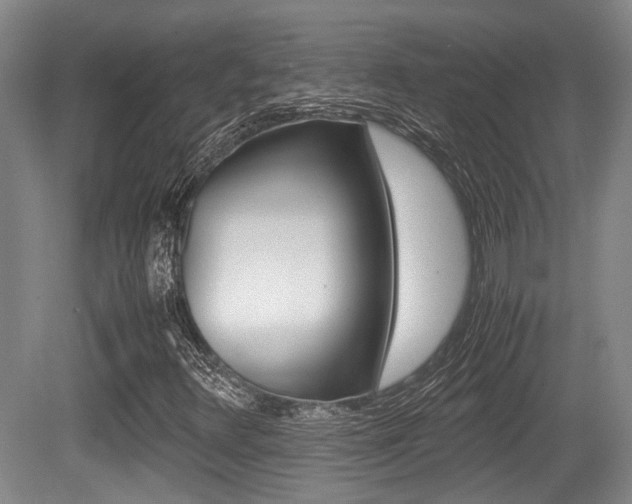 X0000079321348200611170920