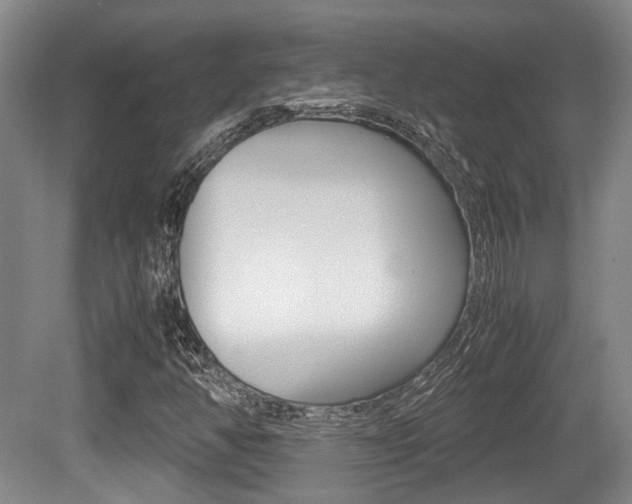 X0000079321350200611170920