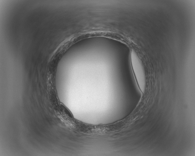 X0000079321351200611170920