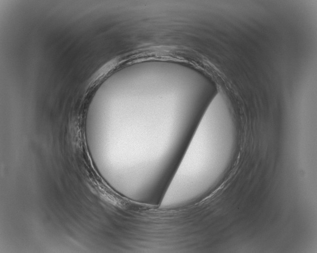 X0000079321354200611170920