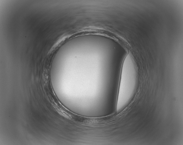 X0000079321355200611170920