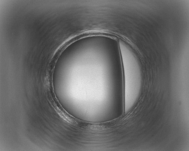 X0000079321356200611170920