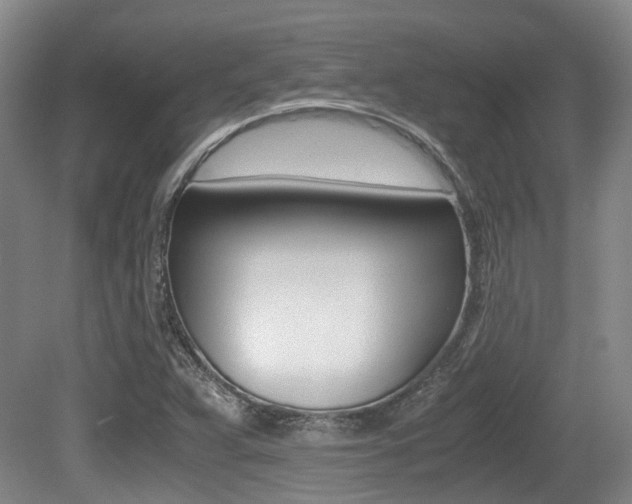 X0000079321359200611170920