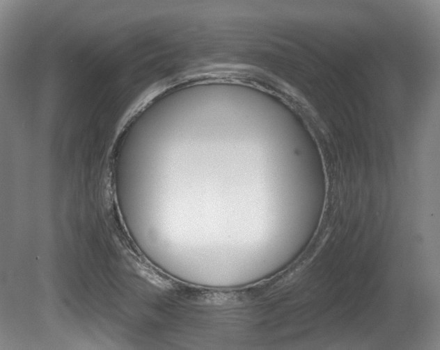 X0000079321362200611170919