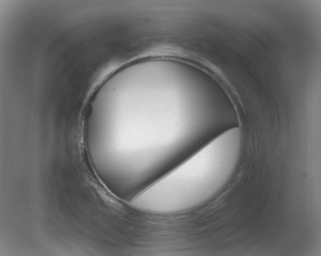 X0000079321366200611170919