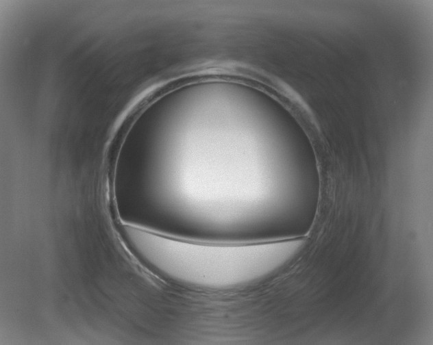 X0000079321368200611170919