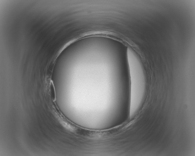 X0000079321369200611170919