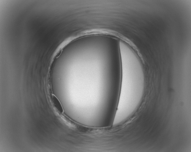 X0000079321373200611170919