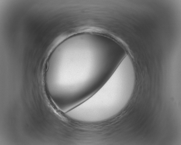 X0000079321375200611170919