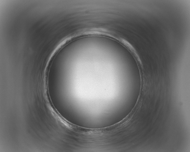 X0000079321384200611170919