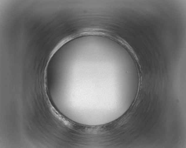 X0000079321386200611170919