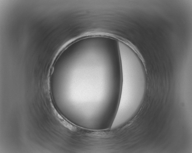 X0000079321388200611170919