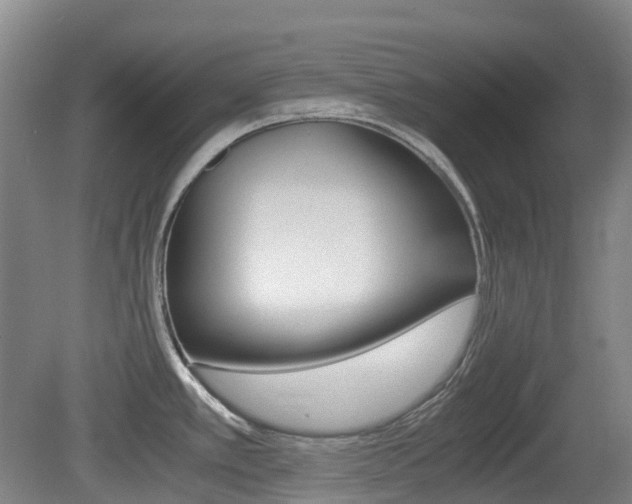 X0000079321389200611170919