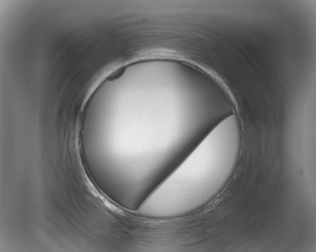 X0000079321390200611170919