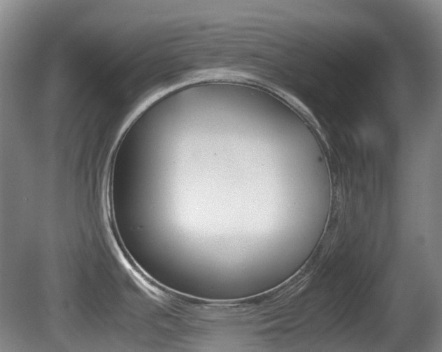 X0000079321391200611170919