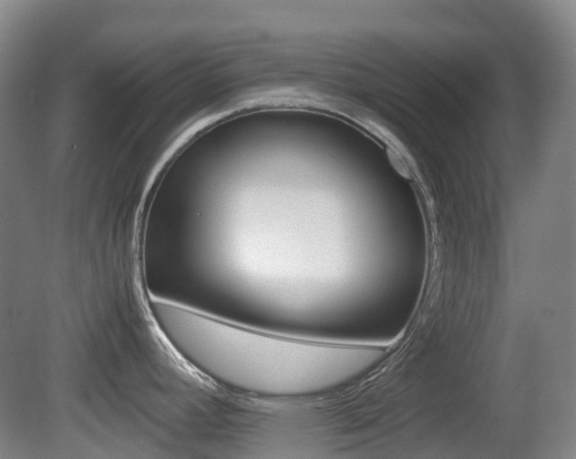 X0000079321392200611170919
