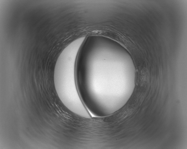 X0000079321394200611170918