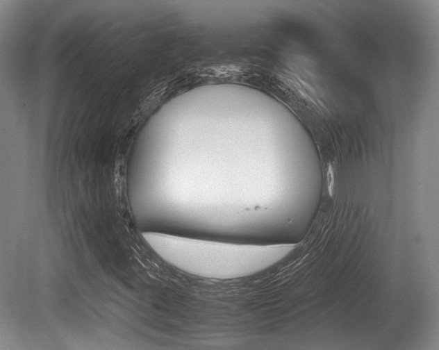 X0000079321395200611170918