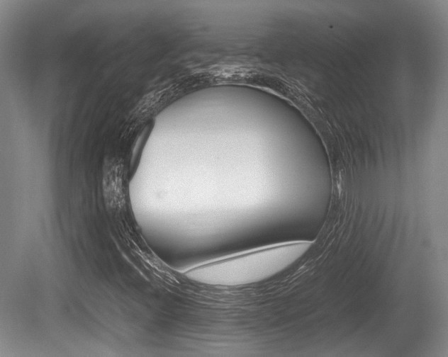 X0000079321396200611170918