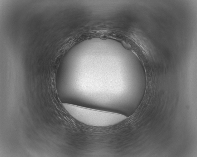 X0000079321397200611170918