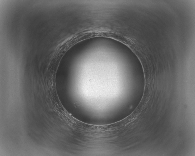 X0000079321398200611170918