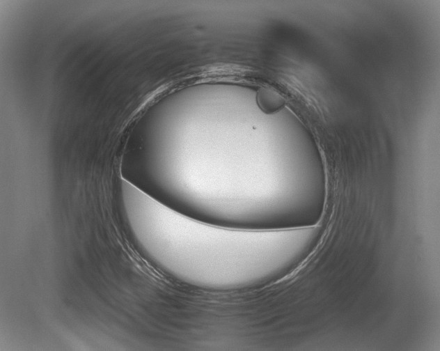 X0000079321401200611170918