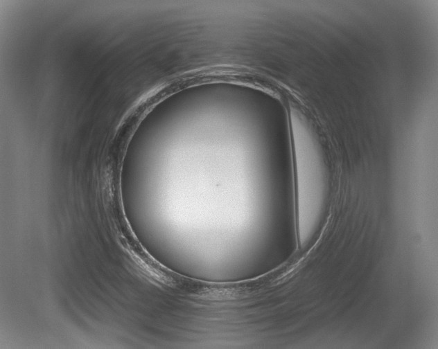 X0000079321402200611170918