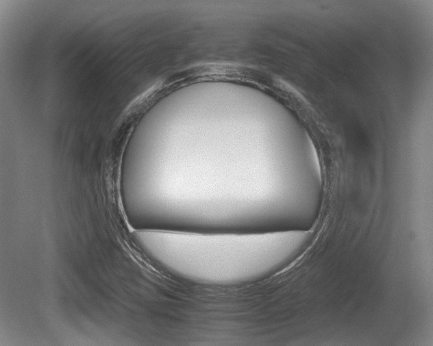 X0000079321403200611170918