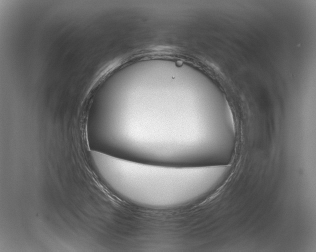 X0000079321405200611170918