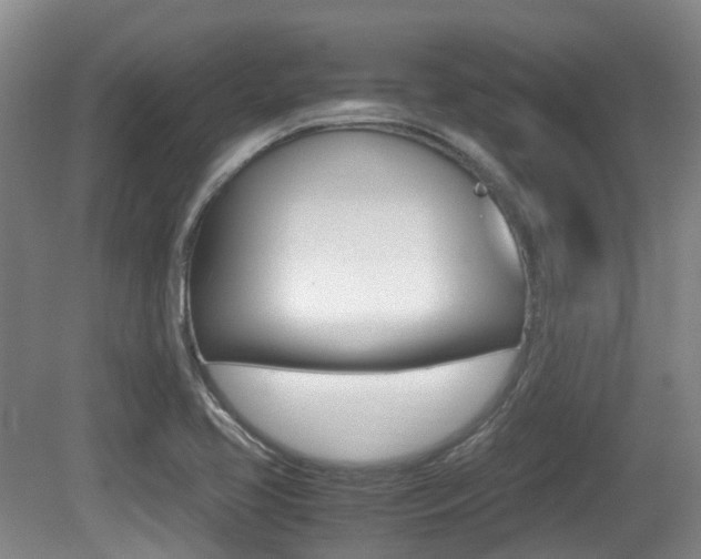 X0000079321413200611170918