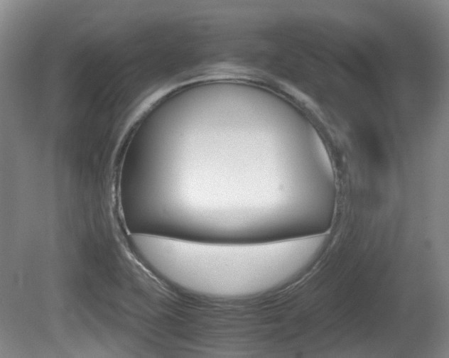 X0000079321415200611170919