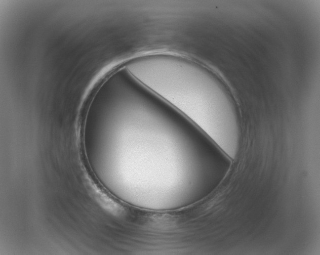 X0000079321416200611170919
