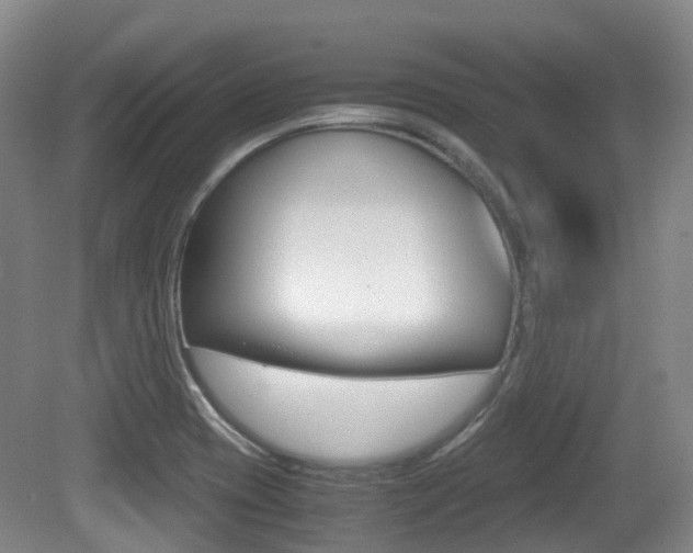 X0000079321417200611170919