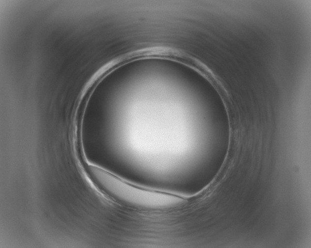 X0000079321418200611170919