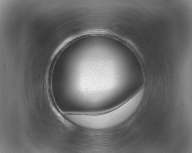 X0000079321422200611170919