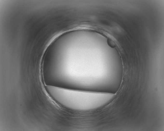 X0000079321423200611170919