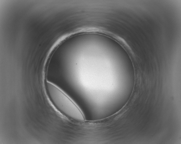 X0000079321424200611170919