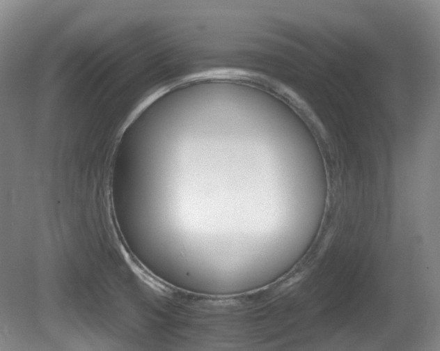 X0000079321425200611170919