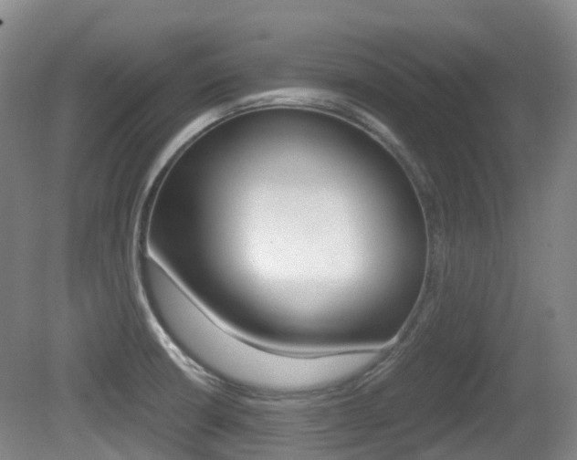 X0000079321426200611170919
