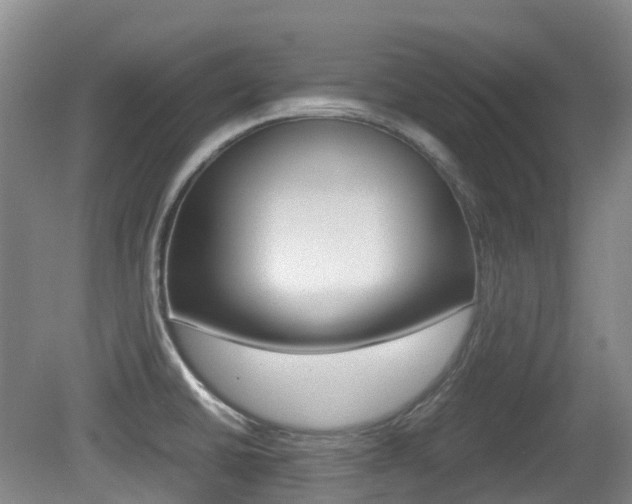 X0000079321430200611170919