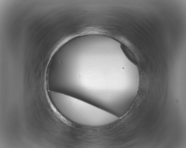 X0000079321431200611170919