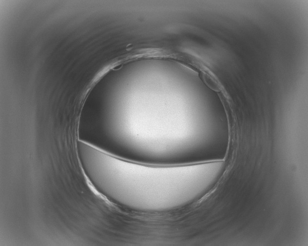 X0000079321433200611170919