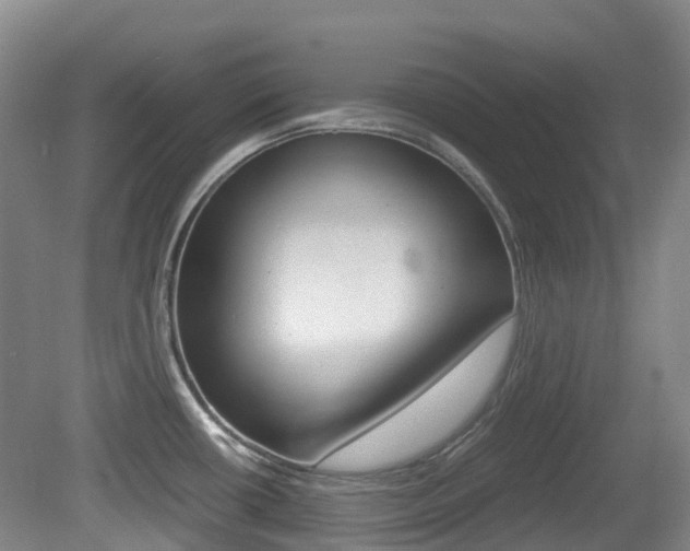 X0000079321434200611170919