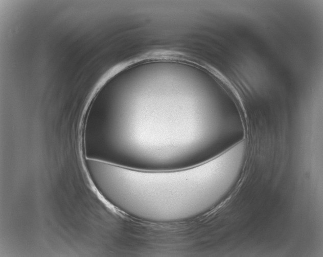 X0000079321437200611170919
