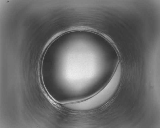 X0000079321438200611170919