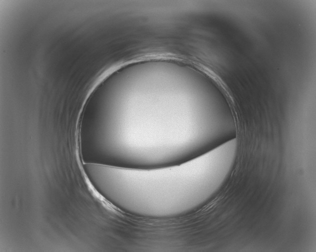 X0000079321439200611170919
