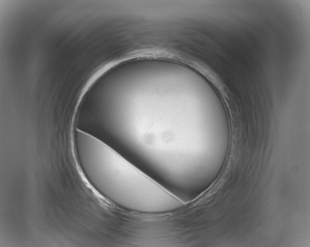 X0000079321440200611170919