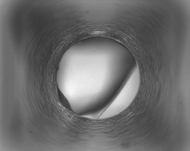 X0000079321441200611170918